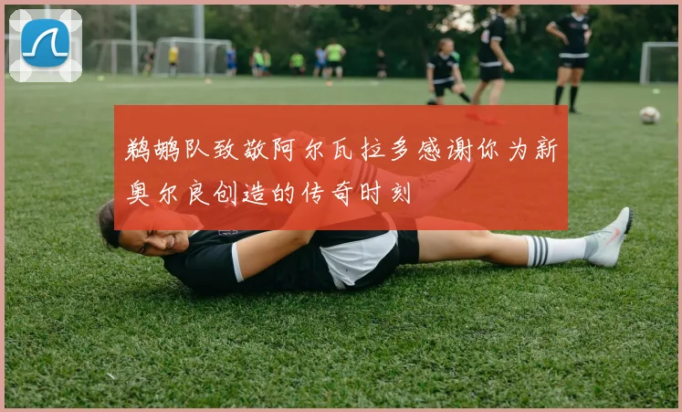 鹈鹕队致敬阿尔瓦拉多感谢你为新奥尔良创造的传奇时刻