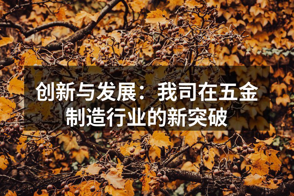 我司新型五金制造设备展示